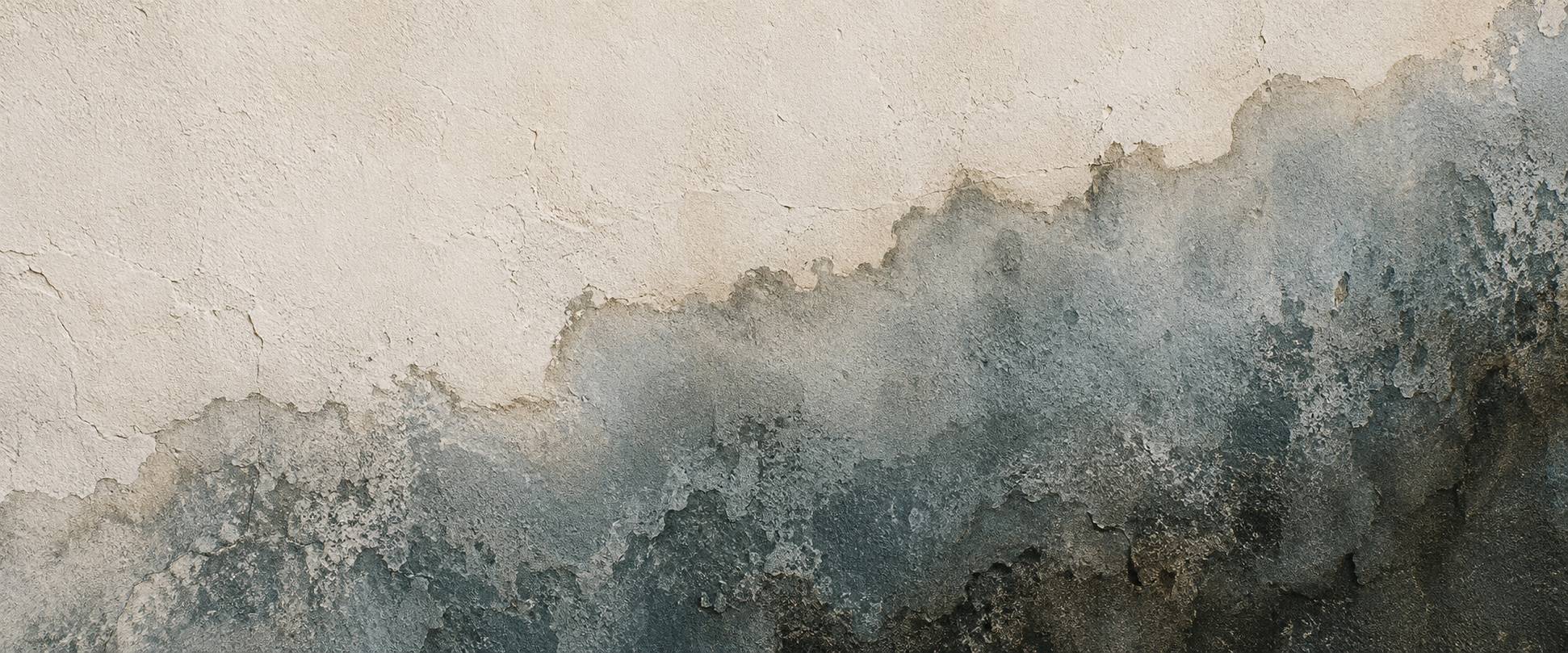 Detail d'une aureole d'humidite a la limite sinueuse sur un mur en enduit